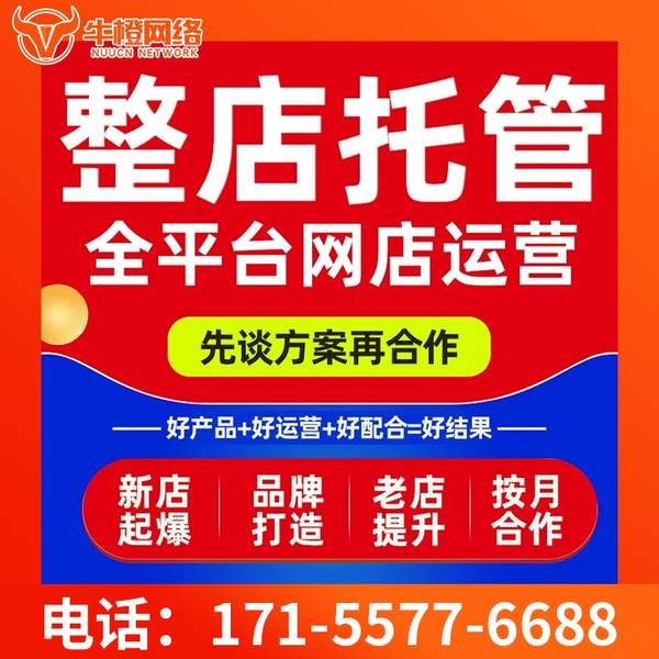 东胜电商代运营