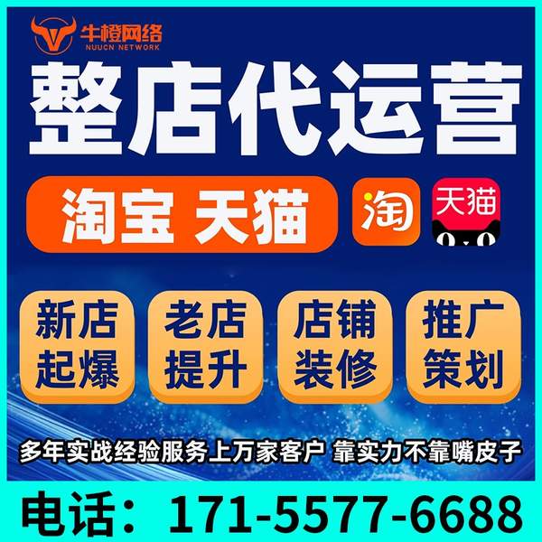 东胜电商代运营