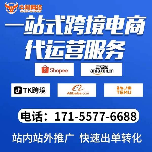 东胜电商代运营